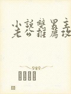 小说双男主虐文老公推荐攻略同人文