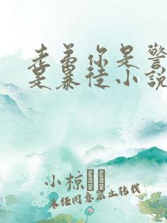 老弟你是警察不是暴徒小说txt下载