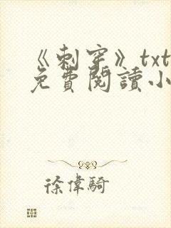《刺穿》txt免费阅读小说