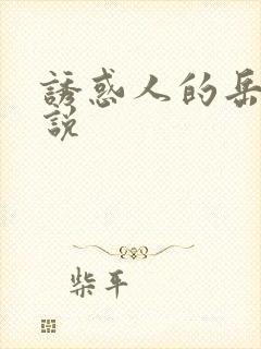 诱惑人的岳母小说
