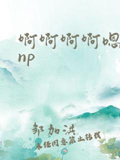 啊啊啊啊嗯嗯嗯np