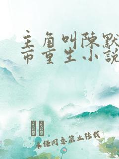 主角叫陈默的都市重生小说
