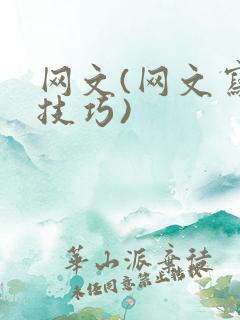 网文(网文写作技巧)
