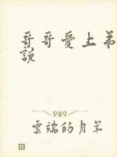 哥哥爱上弟弟小说