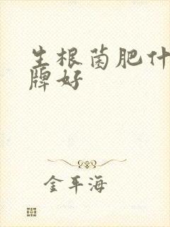 生根菌肥什么品牌好
