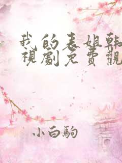 我的表姐韩剧电视剧免费观看在线高清