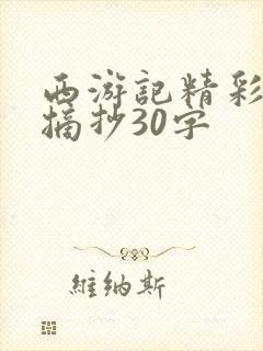 西游记精彩句段摘抄30字