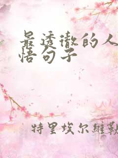 最透彻的人生感悟句子
