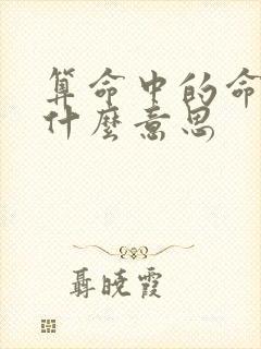 算命中的命硬是什么意思