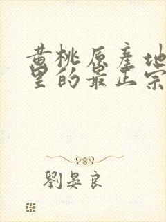 黄桃原产地是哪里的最正宗