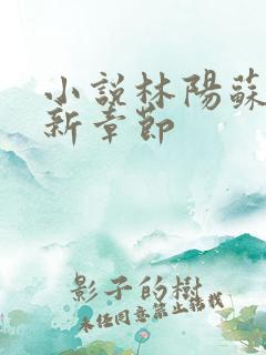 小说林阳苏颜最新章节