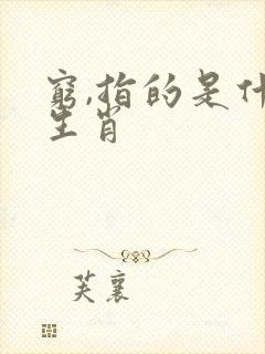 穷,指的是什么生肖