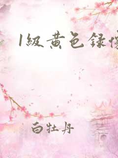 1级黄色录像带