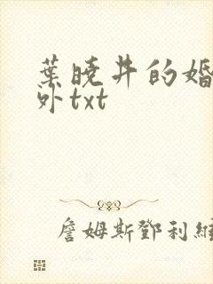 叶晓井的婚里婚外txt 叶晓井的婚里婚外txt