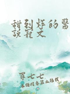 甜到炸的医生小说宠文