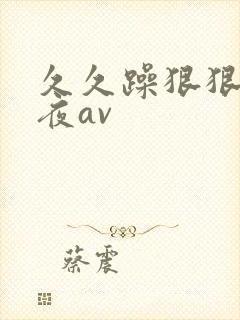 久久躁狠狠躁夜夜av