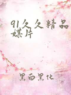 91久久精品传媒片