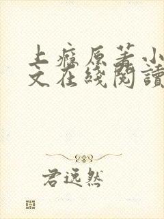 上瘾原著小说全文在线阅读,子午书