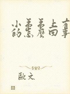 小弟弟上有白色的怎么回事