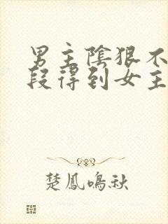 男主阴狠不择手段得到女主 古言
