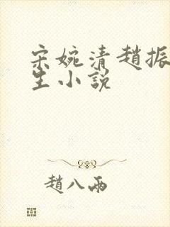 宋婉清赵振国重生小说