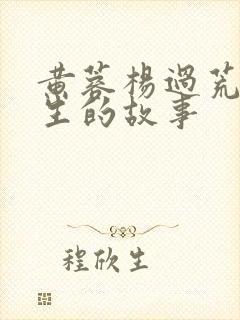 黄蓉杨过荒岛求生的故事