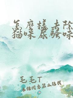 怎么样去除屋里猫咪尿骚味