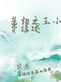 万相之王小说免费讲述