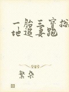 一胎三宝总裁爹地追妻跑