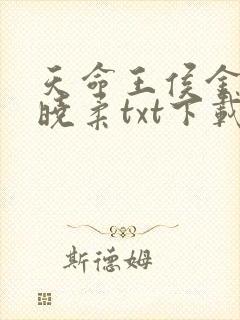 天命王侯金锋关晓柔txt下载