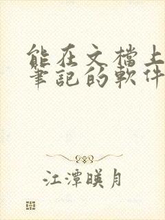 能在文档上手写笔记的软件