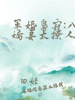 军婚枭宠:八零娇妻太撩人
