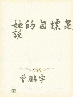 她的目标是我小说