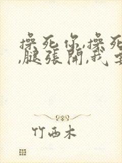 操死你,操死你,腿张开,我要进了