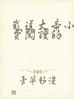武道大帝小说免费阅读的