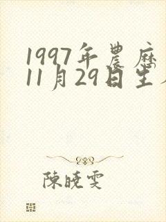 1997年农历11月29日生人八字