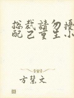 总裁请勿扰,原配己重生小说