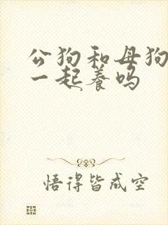 公狗和母狗能放一起养吗