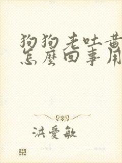 狗狗老吐黄水是怎么回事用什么药 狗狗老吐黄水是怎么回事用什么药