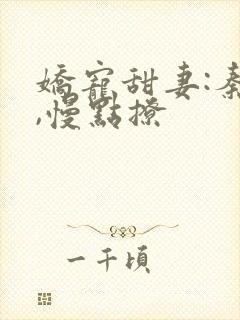 娇宠甜妻:秦爷,慢点撩