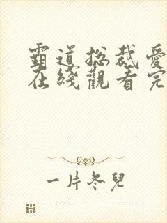 霸道总裁爱上我在线观看完整版小说