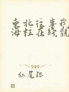 东北往事我叫刘海柱在线观看完整版
