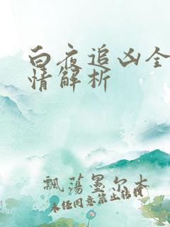 白夜追凶全部剧情解析