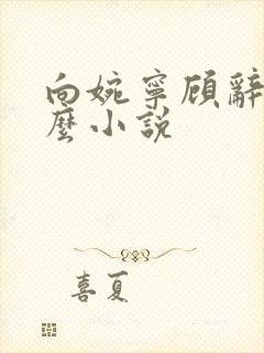 向婉宁顾辞是什么小说
