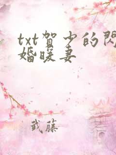 txt贺少的闪婚暖妻