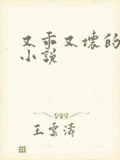 又乖又坏的男孩小说