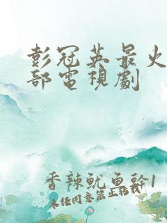 彭冠英最火的三部电视剧