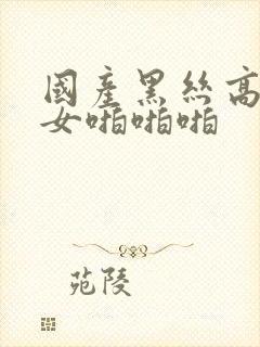 国产黑丝高跟美女啪啪啪