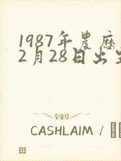 1987年农历2月28日出生命运