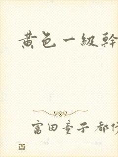 黄色一级干逼片